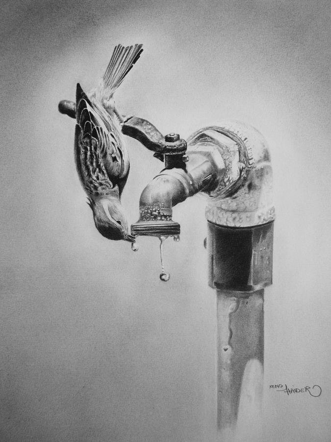 Save water drawings for competition 5 -