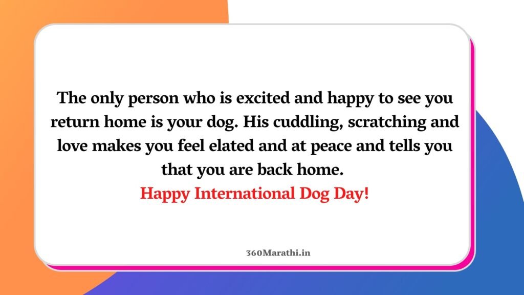 International Dog Day Quotes 3 1 -