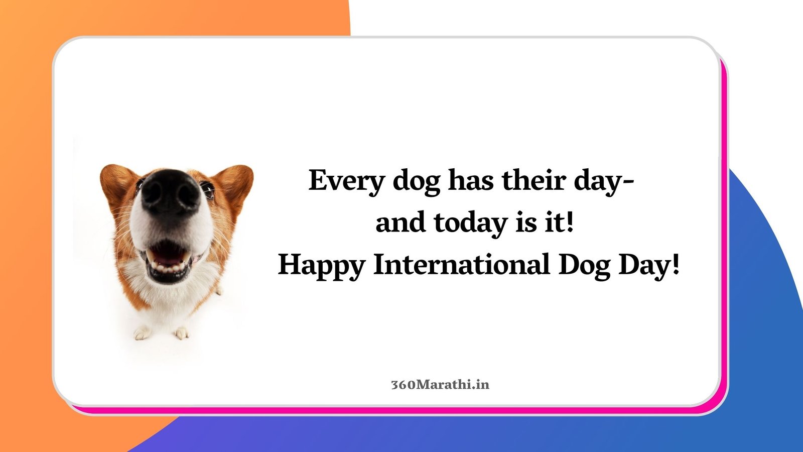 International Dog Day Quotes Wishes Images in Marathi Hindi & English