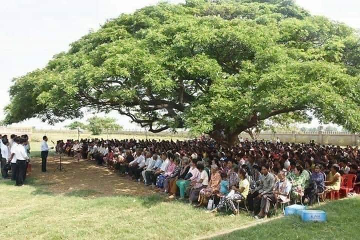  झाडांचे महत्व - Importance of Tree in marathi 