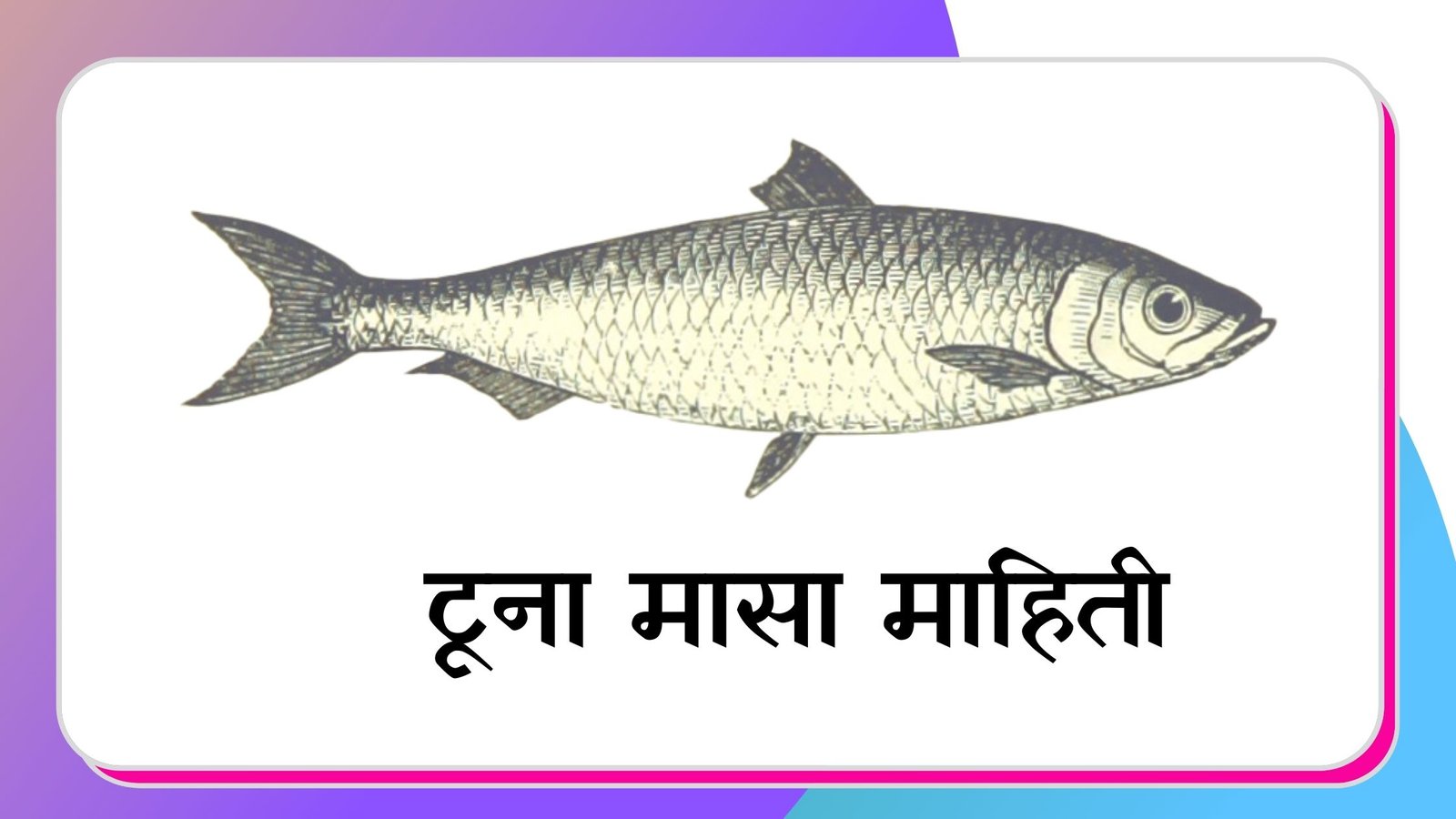 Tuna Fish in Marathi